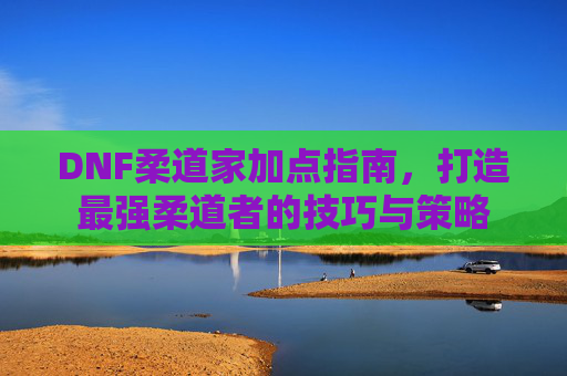DNF柔道家加点指南，打造最强柔道者的技巧与策略