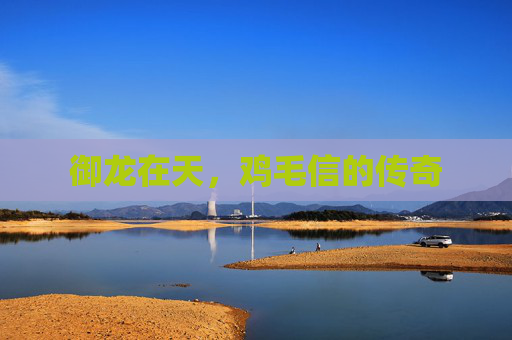 御龙在天，鸡毛信的传奇