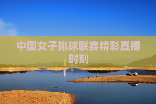 中国女子排球联赛精彩直播时刻