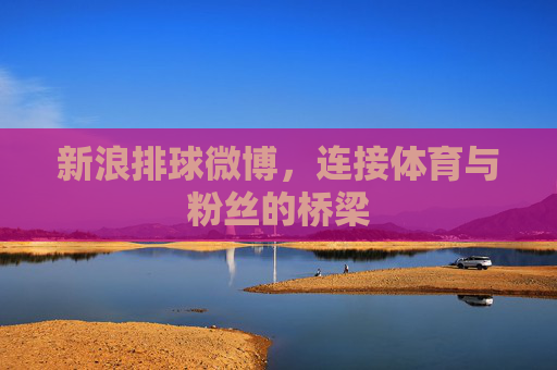新浪排球微博，连接体育与粉丝的桥梁