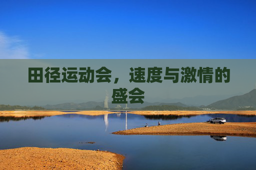 田径运动会，速度与激情的盛会