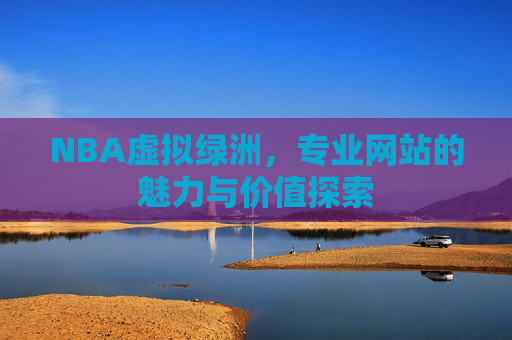 NBA虚拟绿洲，专业网站的魅力与价值探索