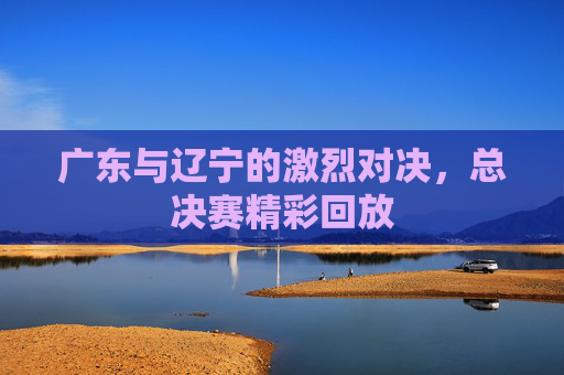 广东与辽宁的激烈对决，总决赛精彩回放