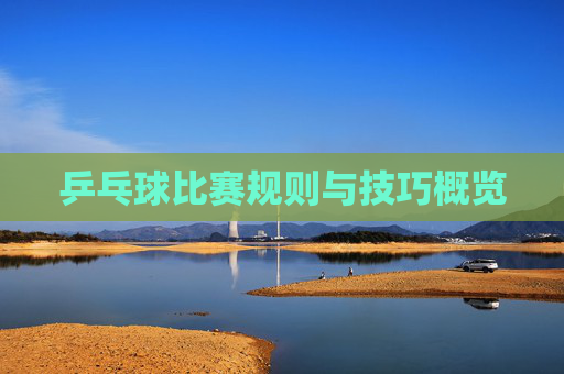 乒乓球比赛规则与技巧概览