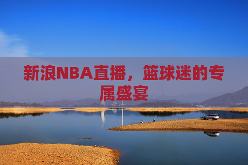 新浪NBA直播，篮球迷的专属盛宴