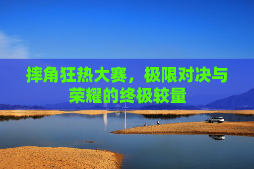 摔角狂热大赛，极限对决与荣耀的终极较量