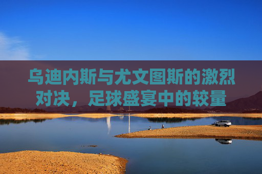 乌迪内斯与尤文图斯的激烈对决，足球盛宴中的较量
