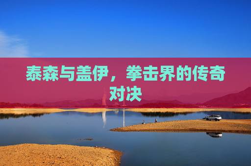 泰森与盖伊，拳击界的传奇对决
