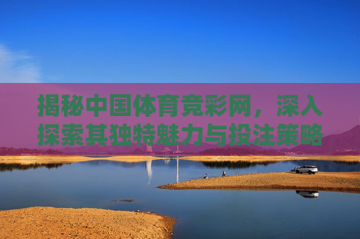 揭秘中国体育竞彩网，深入探索其独特魅力与投注策略