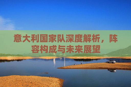 意大利国家队深度解析，阵容构成与未来展望
