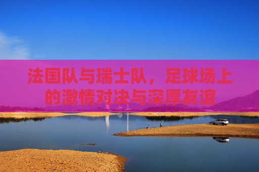 法国队与瑞士队，足球场上的激情对决与深厚友谊