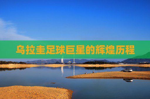 乌拉圭足球巨星的辉煌历程