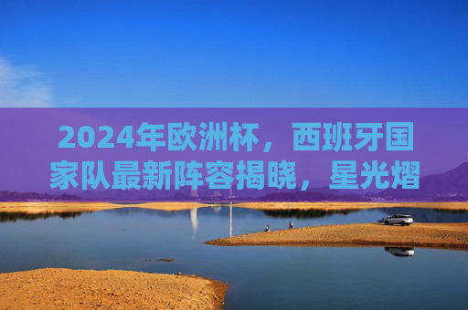 2024年欧洲杯，西班牙国家队最新阵容揭晓，星光熠熠备战赛场