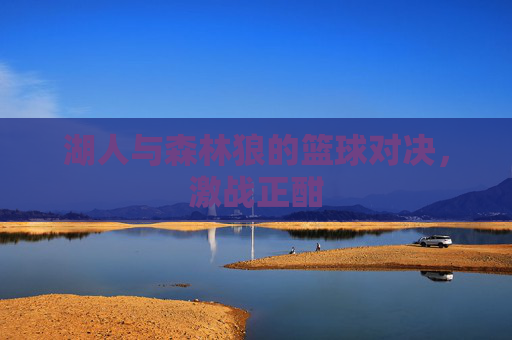 湖人与森林狼的篮球对决，激战正酣