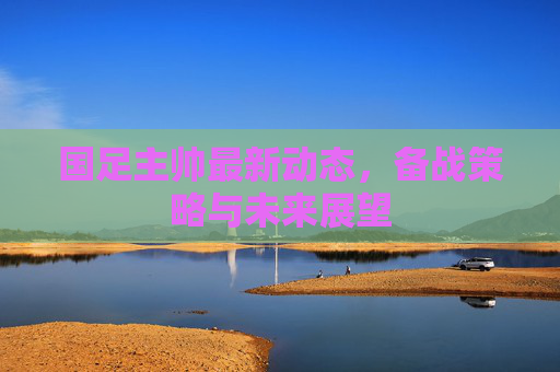 国足主帅最新动态，备战策略与未来展望
