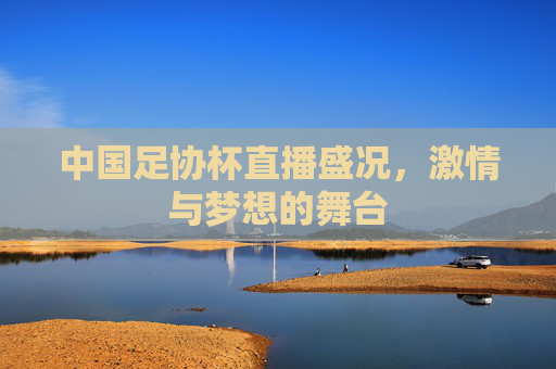 中国足协杯直播盛况，激情与梦想的舞台