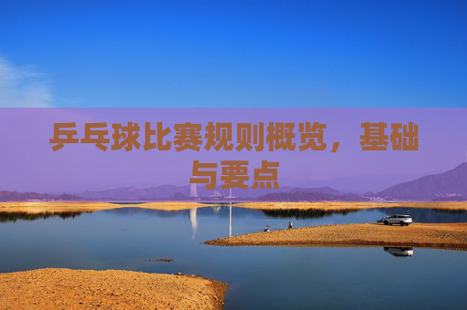 乒乓球比赛规则概览，基础与要点