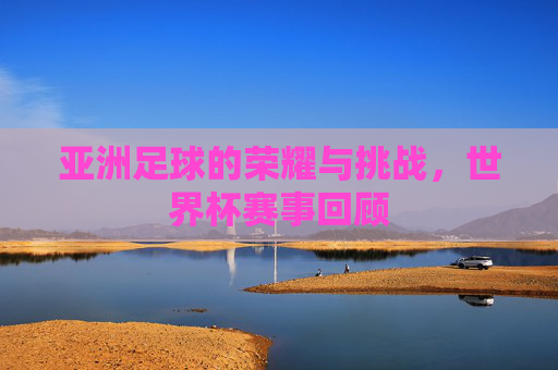 亚洲足球的荣耀与挑战，世界杯赛事回顾