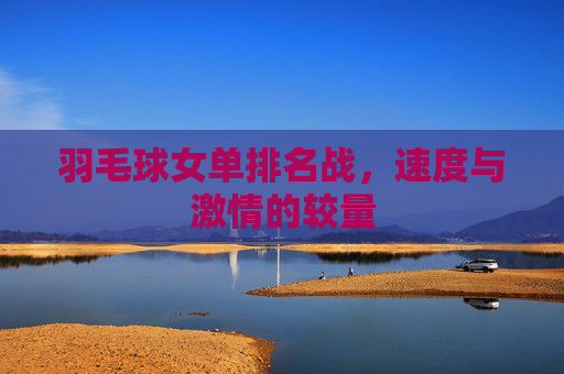 羽毛球女单排名战,速度与激情的较量 羽毛球女单排名战,速度与激情的较量