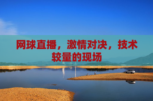 网球直播，激情对决，技术较量的现场