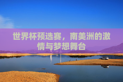 世界杯预选赛，南美洲的激情与梦想舞台