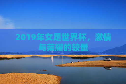 2019年女足世界杯，激情与荣耀的较量