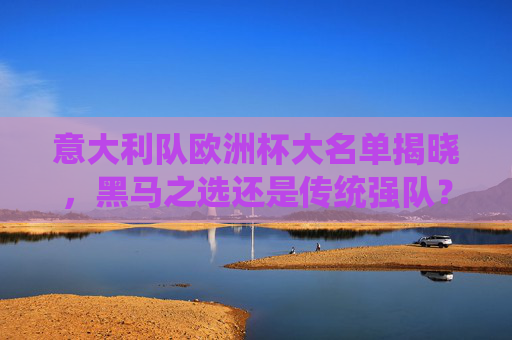 意大利队欧洲杯大名单揭晓，黑马之选还是传统强队？