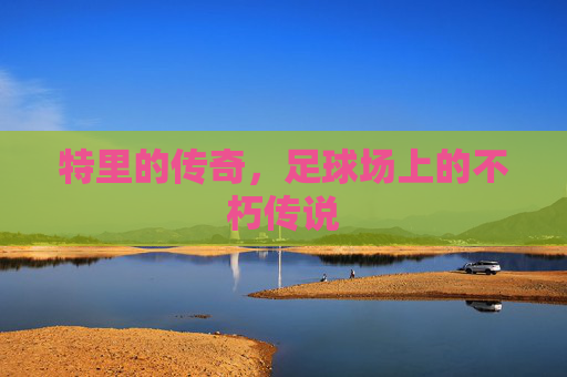 特里的传奇，足球场上的不朽传说