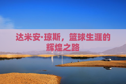 达米安·琼斯，篮球生涯的辉煌之路