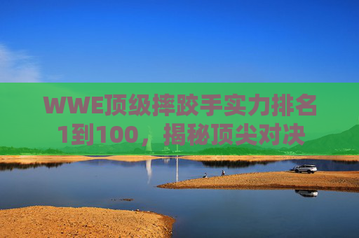 WWE顶级摔跤手实力排名1到100，揭秘顶尖对决