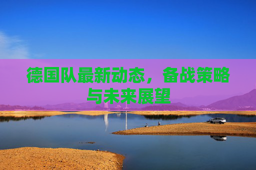 德国队最新动态，备战策略与未来展望
