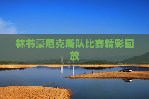 林书豪尼克斯队比赛精彩回放