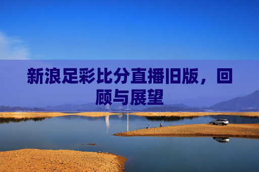 新浪足彩比分直播旧版，回顾与展望