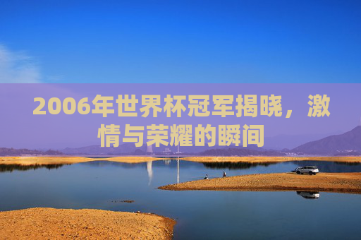 2006年世界杯冠军揭晓，激情与荣耀的瞬间