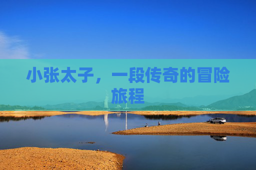 小张太子，一段传奇的冒险旅程