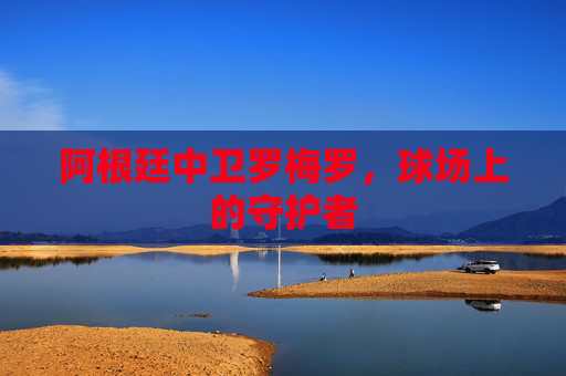 阿根廷中卫罗梅罗,球场上的守护者 阿根廷中卫罗梅罗,球场上的守护者