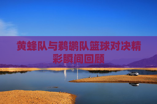 黄蜂队与鹈鹕队篮球对决精彩瞬间回顾