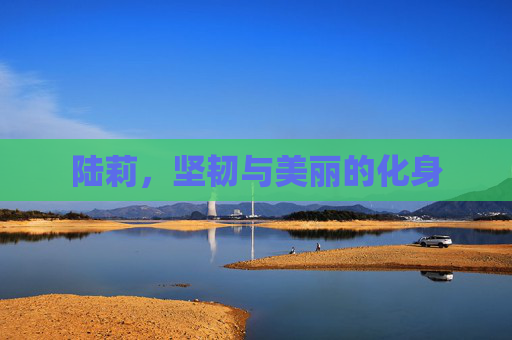 陆莉，坚韧与美丽的化身