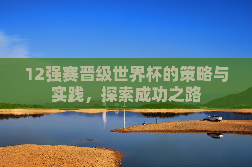 12强赛晋级世界杯的策略与实践，探索成功之路