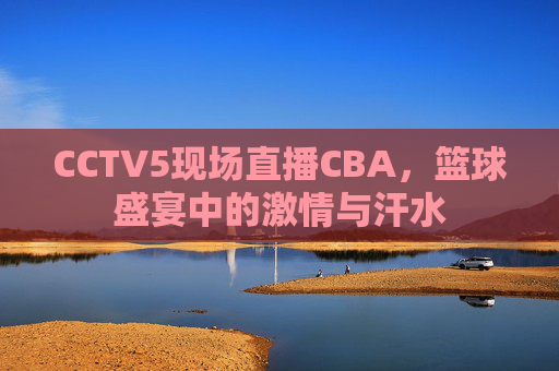 CCTV5现场直播CBA，篮球盛宴中的激情与汗水