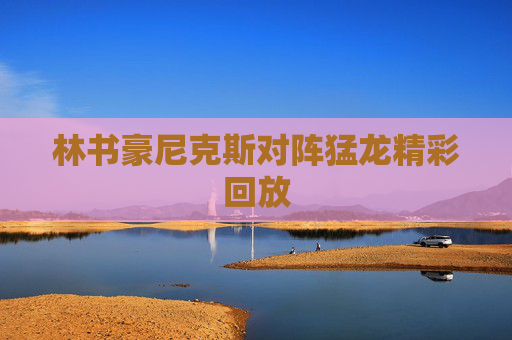 林书豪尼克斯对阵猛龙精彩回放