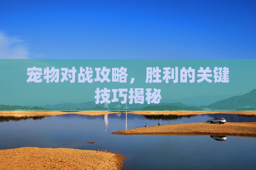 宠物对战攻略，胜利的关键技巧揭秘