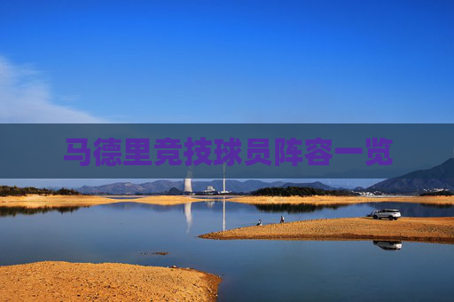 马德里竞技球员阵容一览