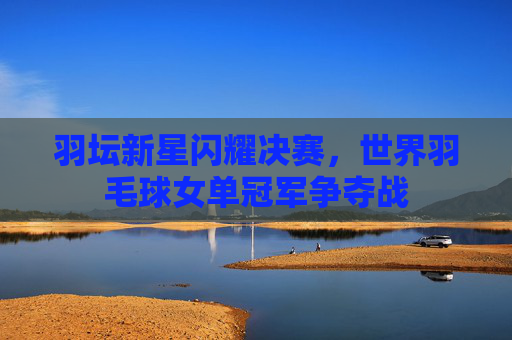 羽坛新星闪耀决赛，世界羽毛球女单冠军争夺战