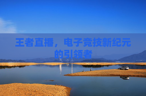 王者直播，电子竞技新纪元的引领者
