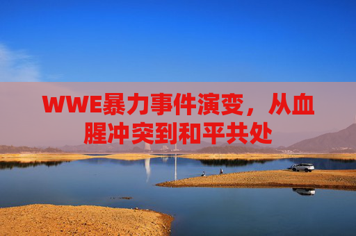 WWE暴力事件演变，从血腥冲突到和平共处
