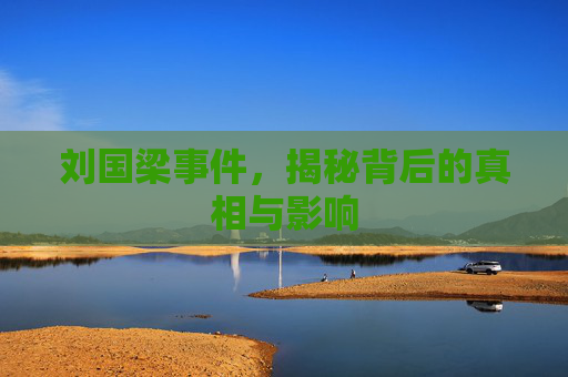 刘国梁事件，揭秘背后的真相与影响
