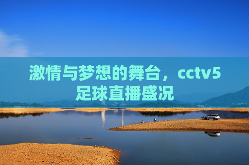 激情与梦想的舞台，cctv5足球直播盛况