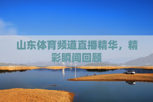 山东体育频道直播精华，精彩瞬间回顾