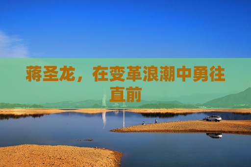 蒋圣龙，在变革浪潮中勇往直前